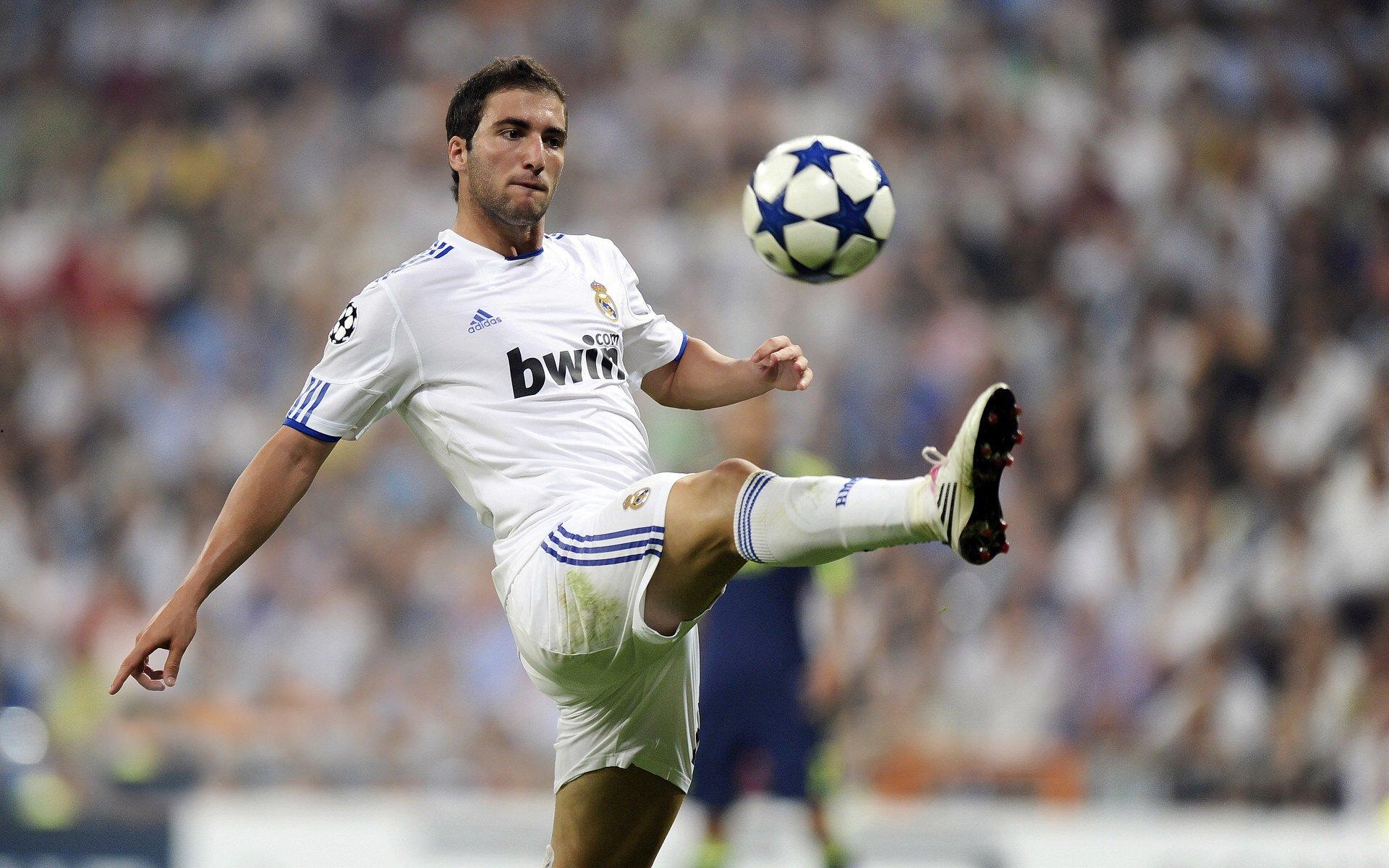 厄德高谈世界杯晋级，这种感觉无法用语言形容，简直疯狂至极